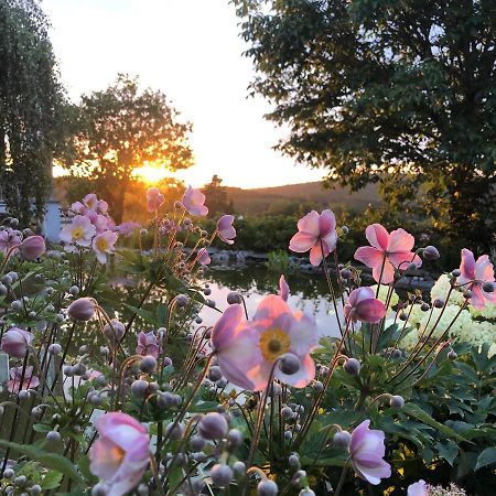 Dashausderfloristin Noertrange Esterno foto